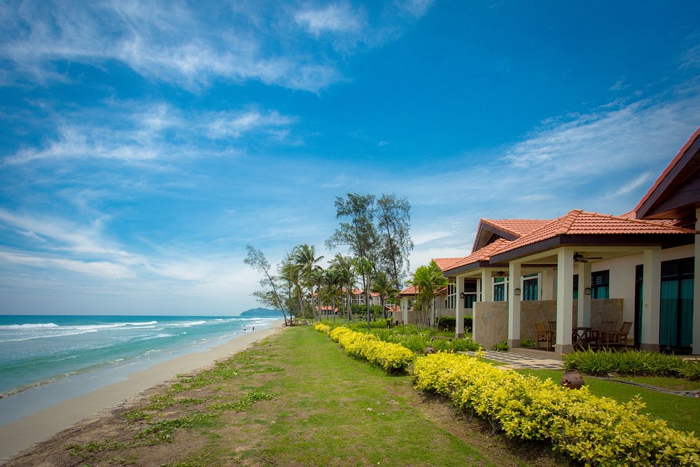 Beachfront view with palm trees and clear sea